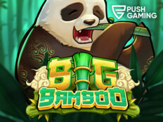 Pashagaming casino free spin {AUIZ}69